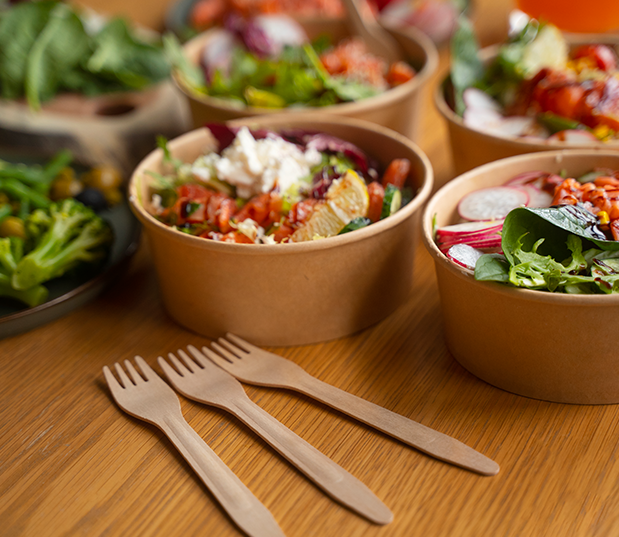 Behind-Story-Zen Envo